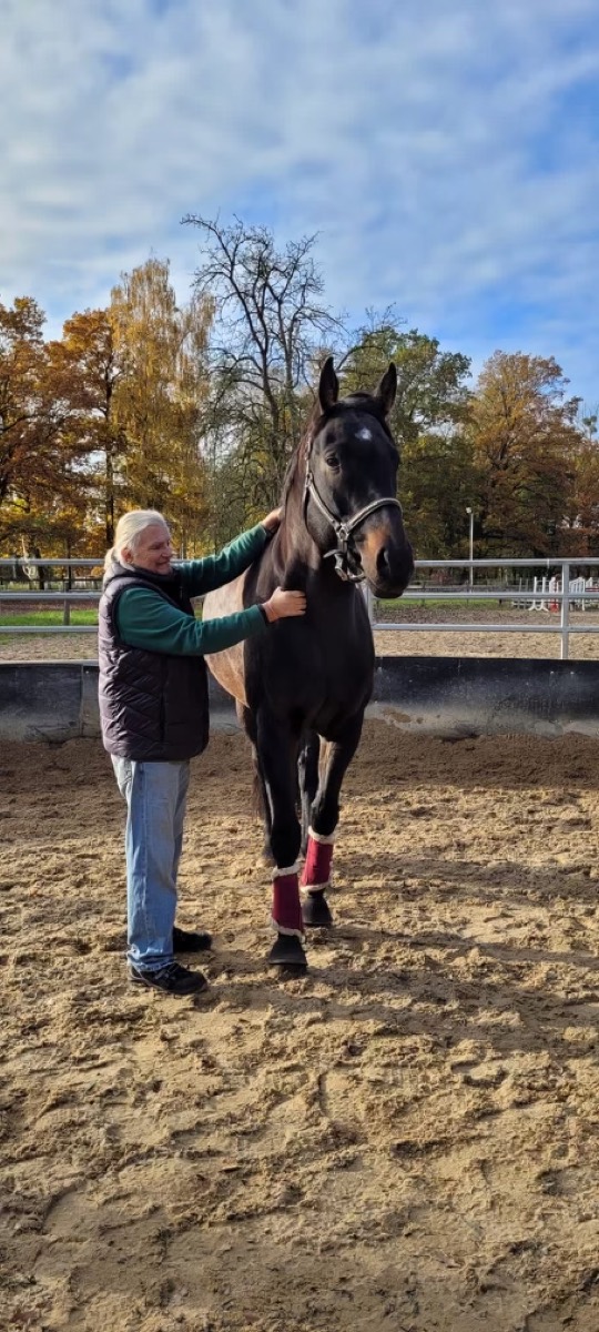 Kurt Walter bei der Behandlung eines Pferdes auf dem Reitplatz