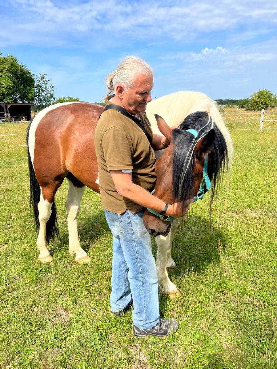 Kurt Walter mit zwei Pferden auf der Koppel